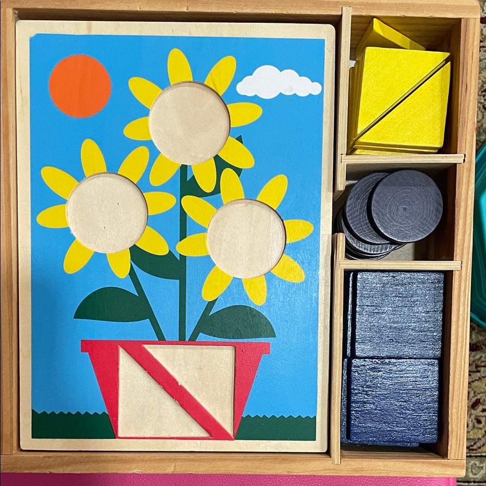 Colorful Multiple Wooden Puzzles Set